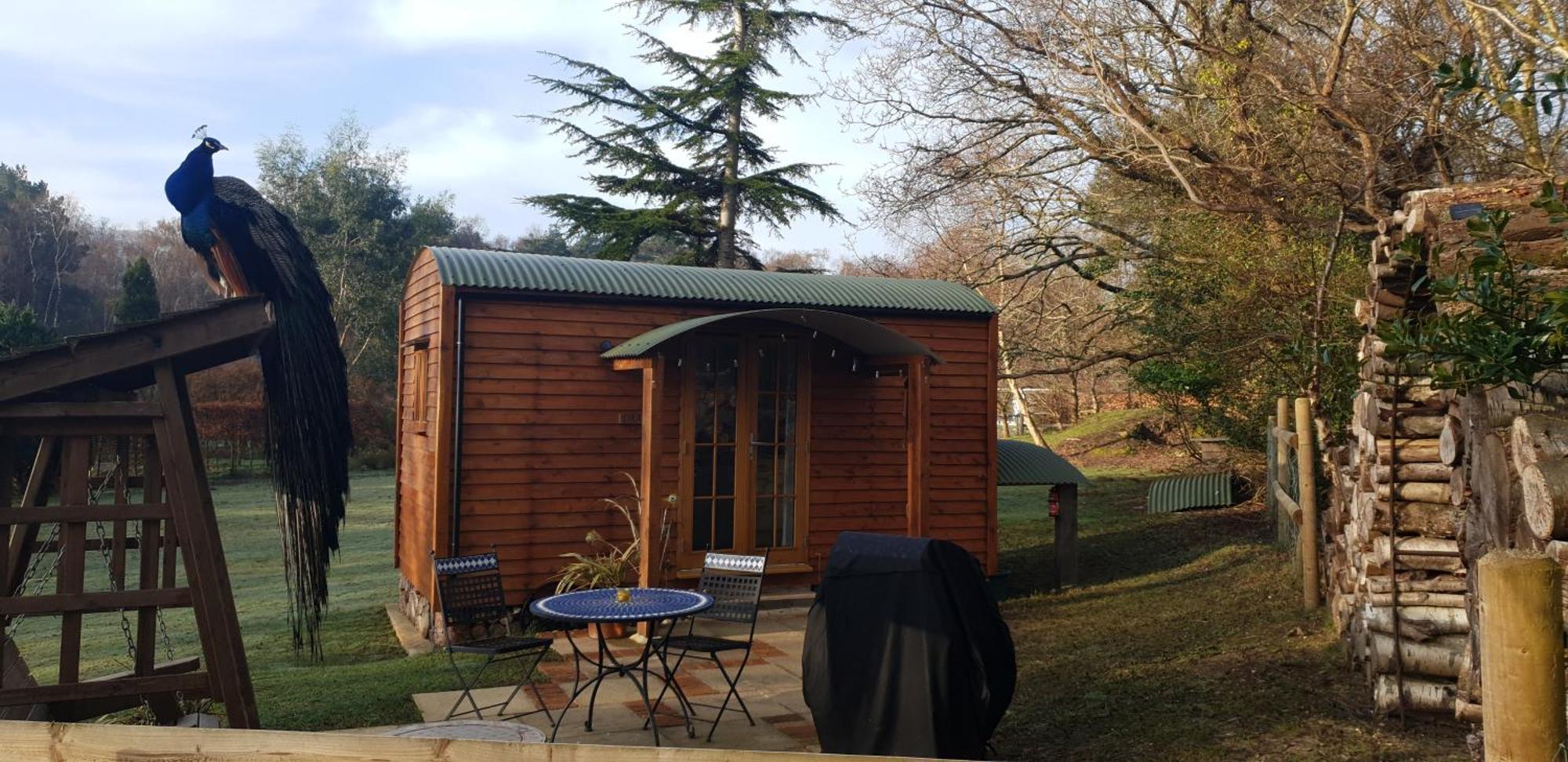 Sika Hut Villa Wareham Eksteriør bilde